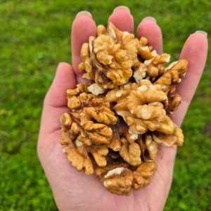 Orah 250g - organski uzgoj - OPG Prpić Diana