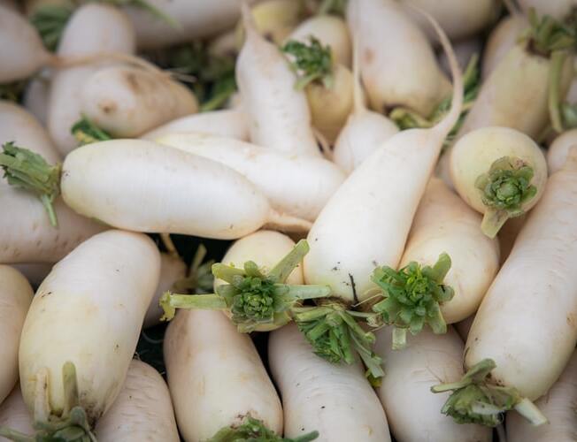 EKO daikon 500g
