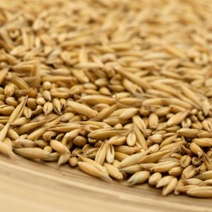 EKO neoljuštena zob 500g - Eko Jazo