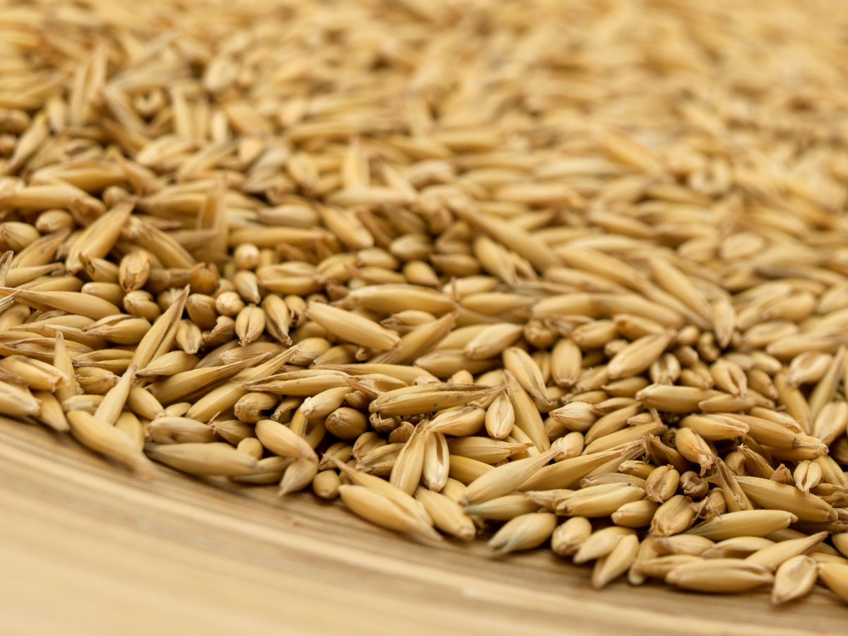 EKO neoljuštena zob 500g - Eko Jazo