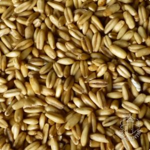 EKO oljuštena zob 500g - Eko Jazo