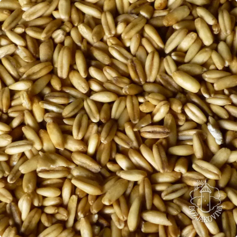 EKO oljuštena zob 500g - Eko Jazo