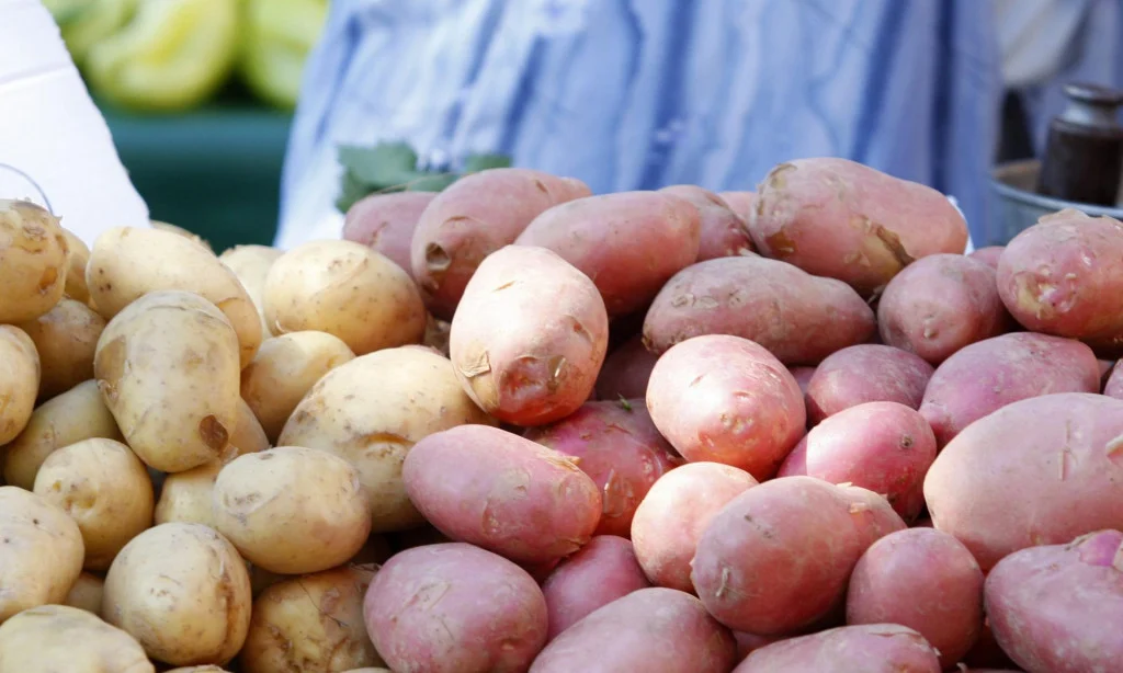 EKO krumpir 1kg - OPG Mikić Srđan