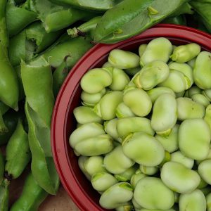 Bob u mahuni 500g - OPG Viskić