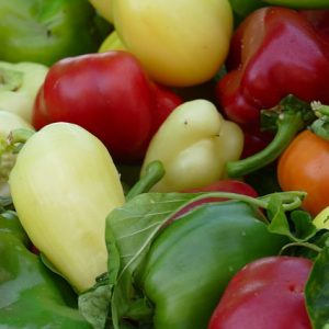 EKO paprika babura mix boja 500g - OPG Novak