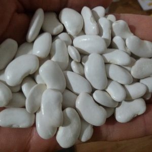 Domaći bijeli grah 1kg - organski uzgoj - OPG Pelin