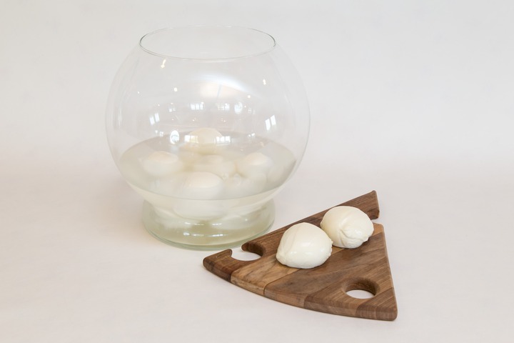 Mozzarella Fior di latte Mljekara Latus