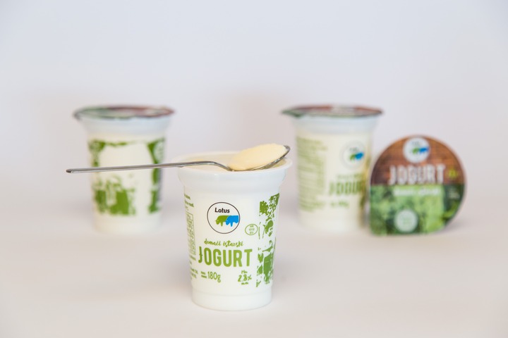 Čvrsti jogurt 2,8% m.m. 180 g - Mljekara Latus