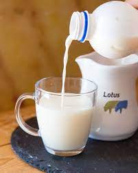 Domaće svježe mlijeko 3,2% mm 1L - Latus