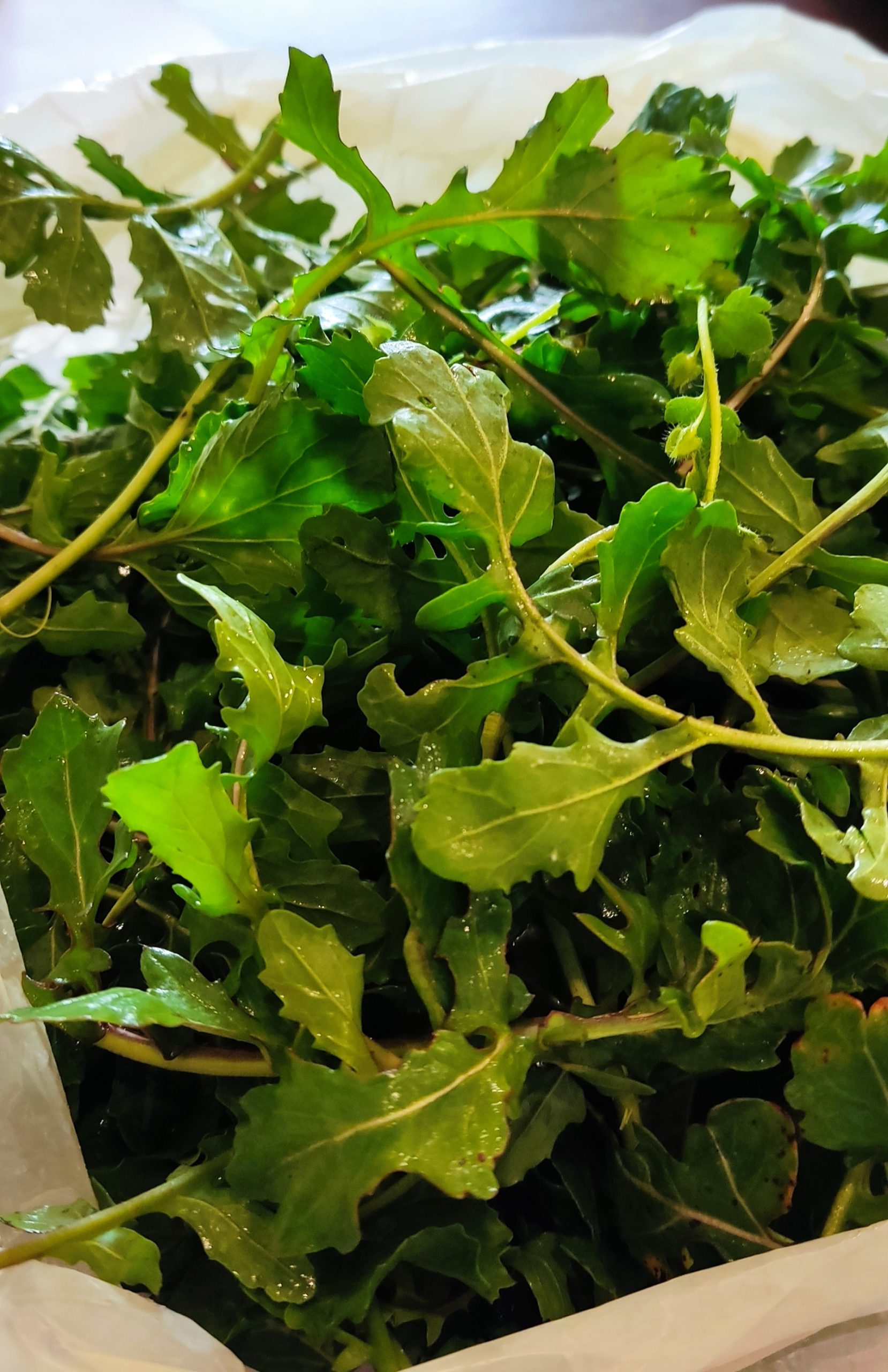 5 Rukola / riga / rikola 100g - domaći organski uzgoj