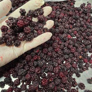 Domaća šumska kupina smrznuta 500g