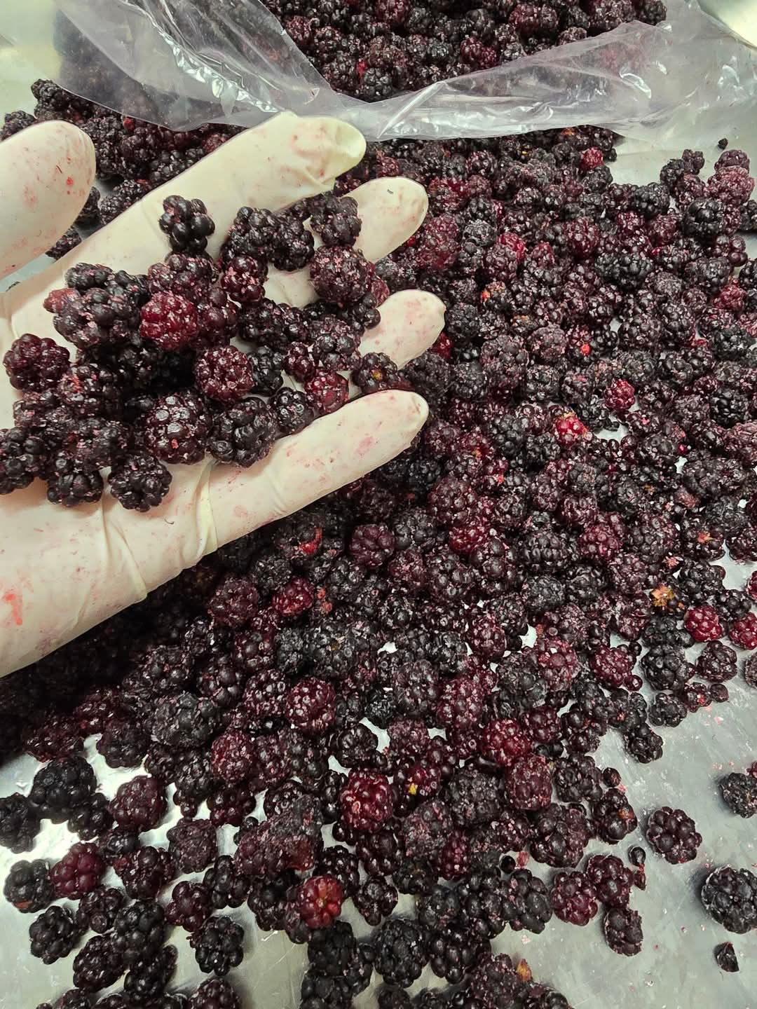 Domaća kupina brzo smrznuta 2,5kg