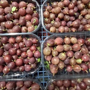 Domaći ogrozd 250g - OPG Andričić - prema raspoloživosti