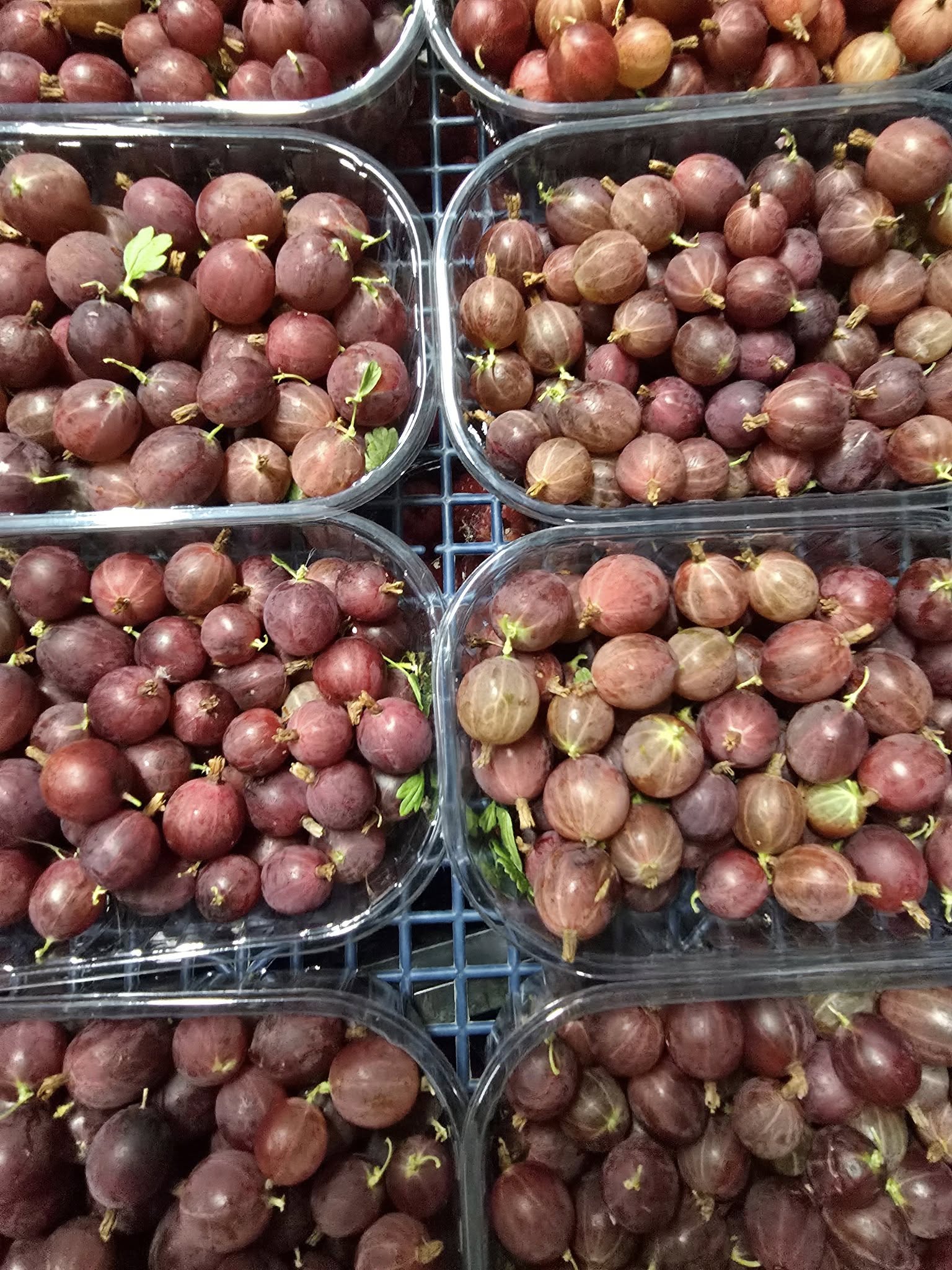 Domaći ogrozd 250g - OPG Andričić - prema raspoloživosti