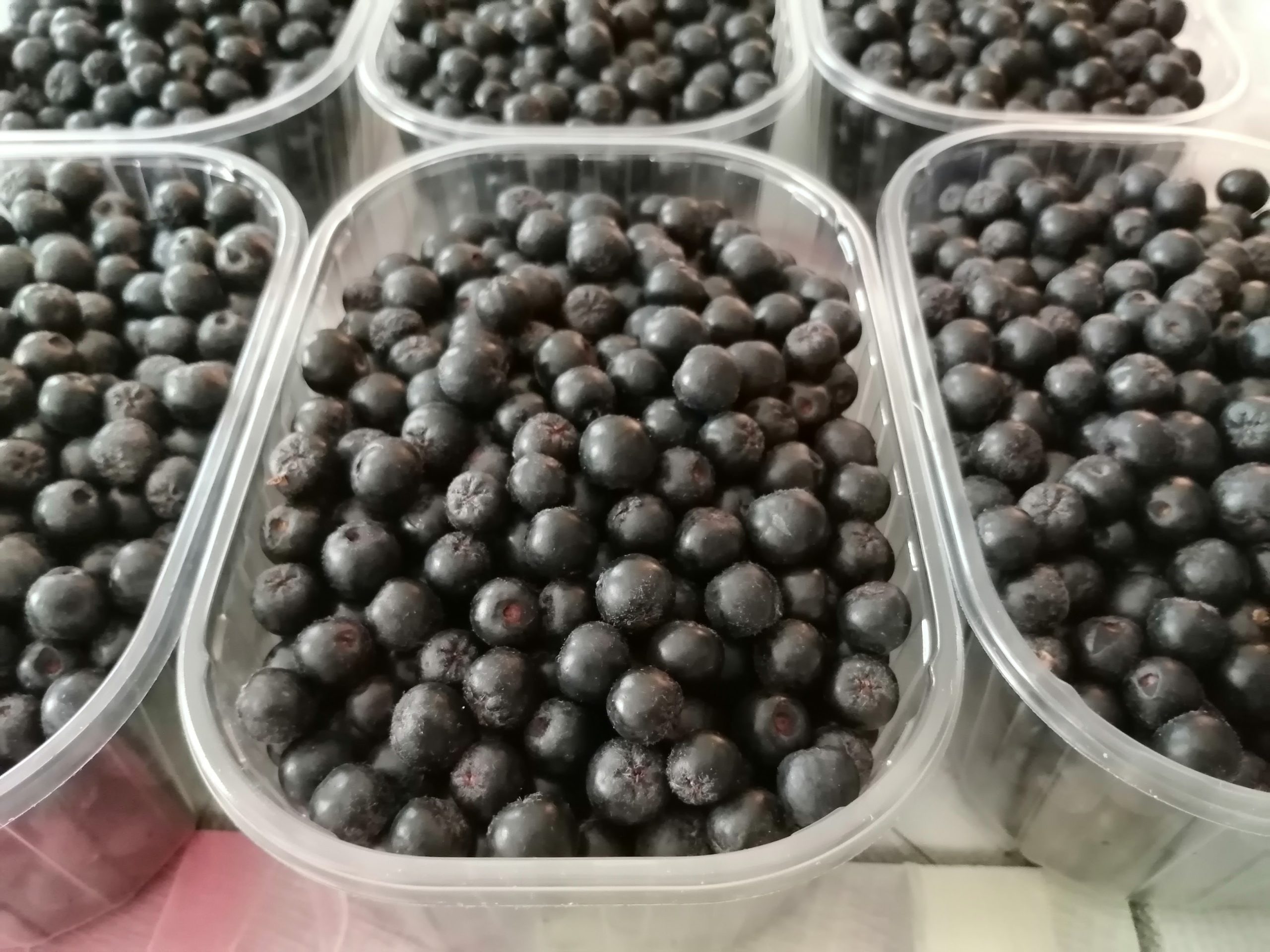 Svježa aronija 500g