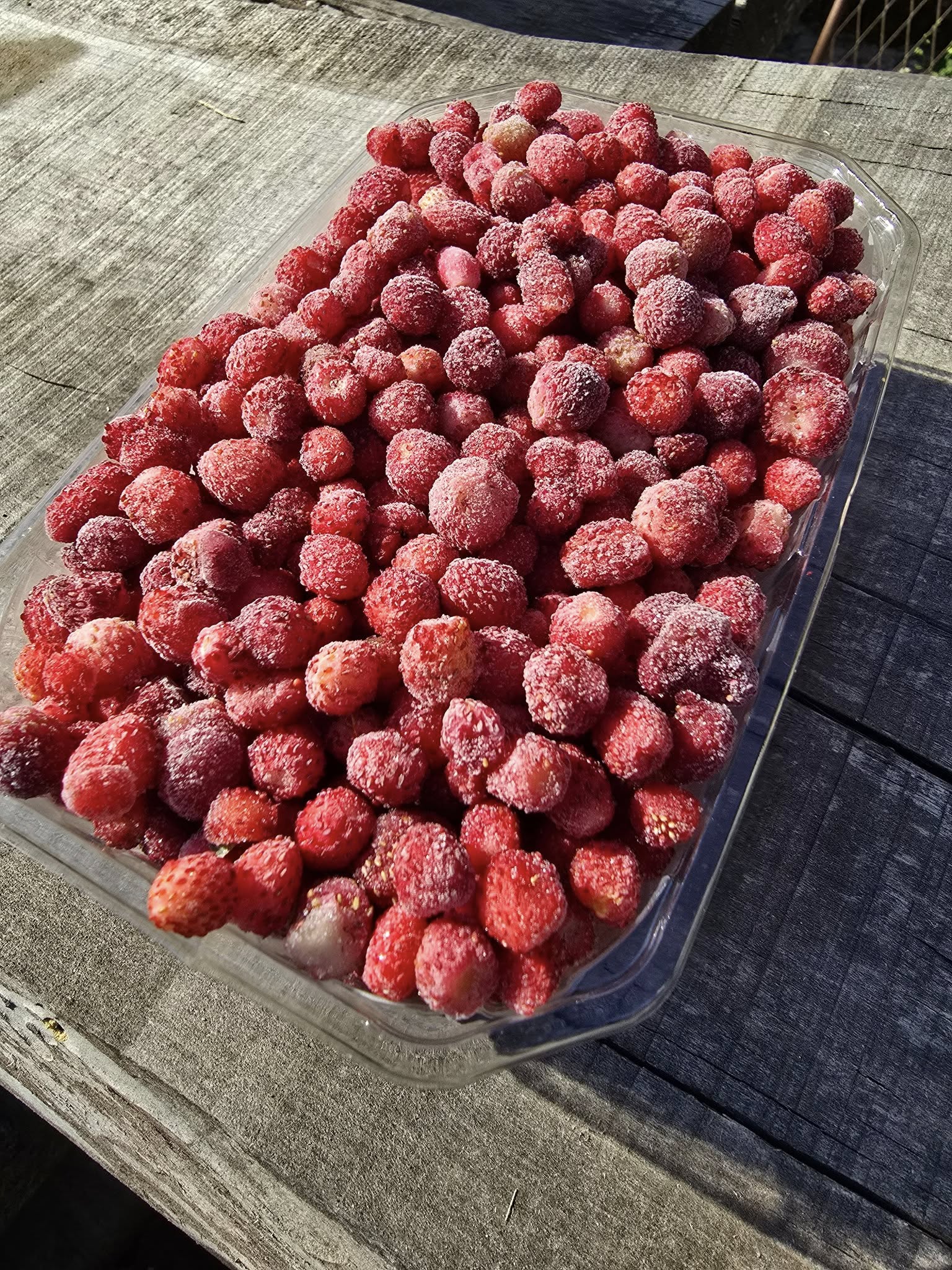 Šumska jagoda brzo smrznuta 500g