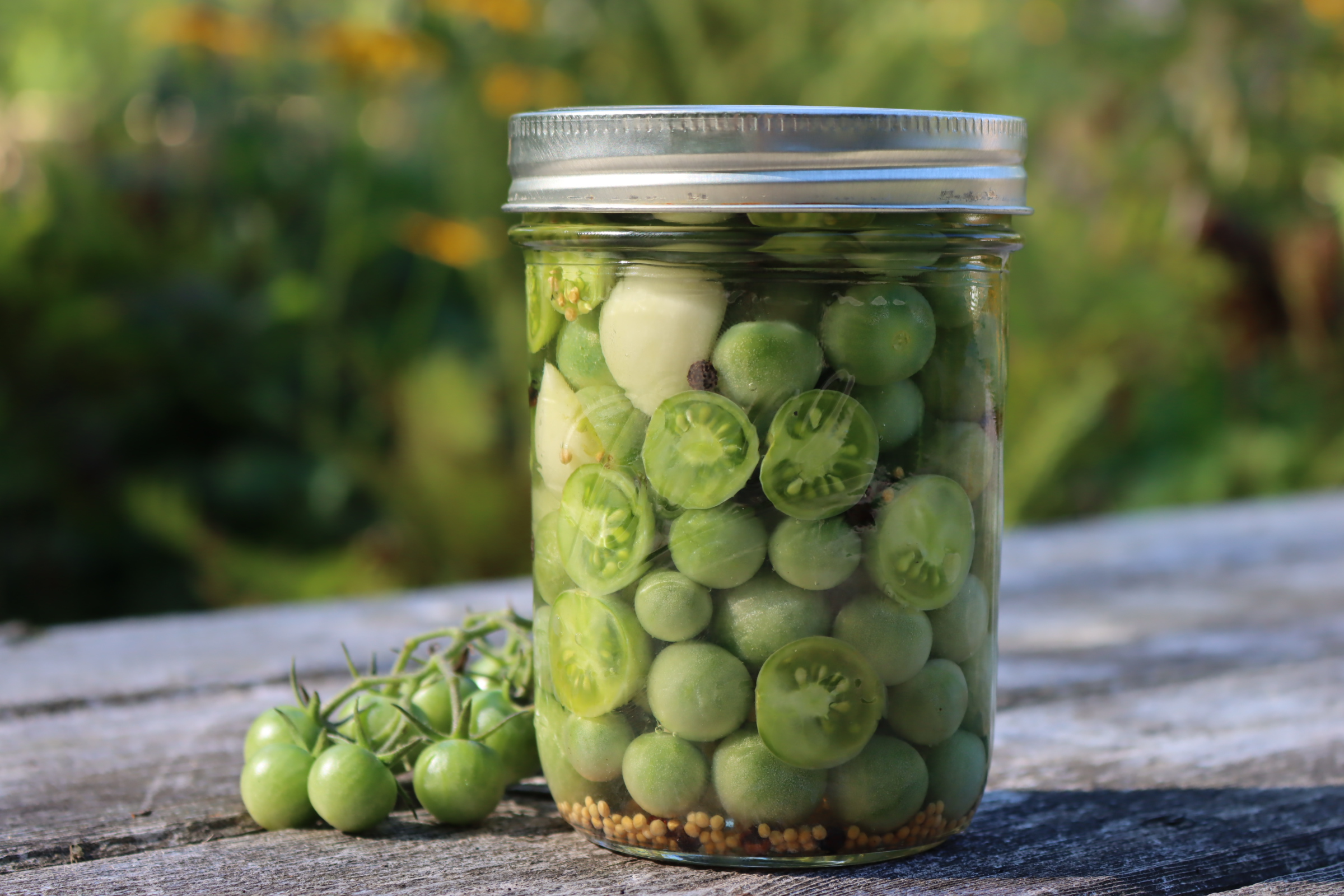 Pickled-Green-Tomatoes Domaće kisele zelene rajčice 720ml - organski uzgoj