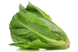 rimska EKO rimska salata 300g