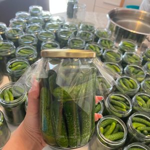 EKO kiseli krastavci 720ml - OPG Novak