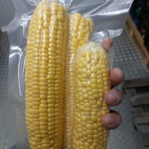 EKO kukuruz šećerac kuhan na pari 400g