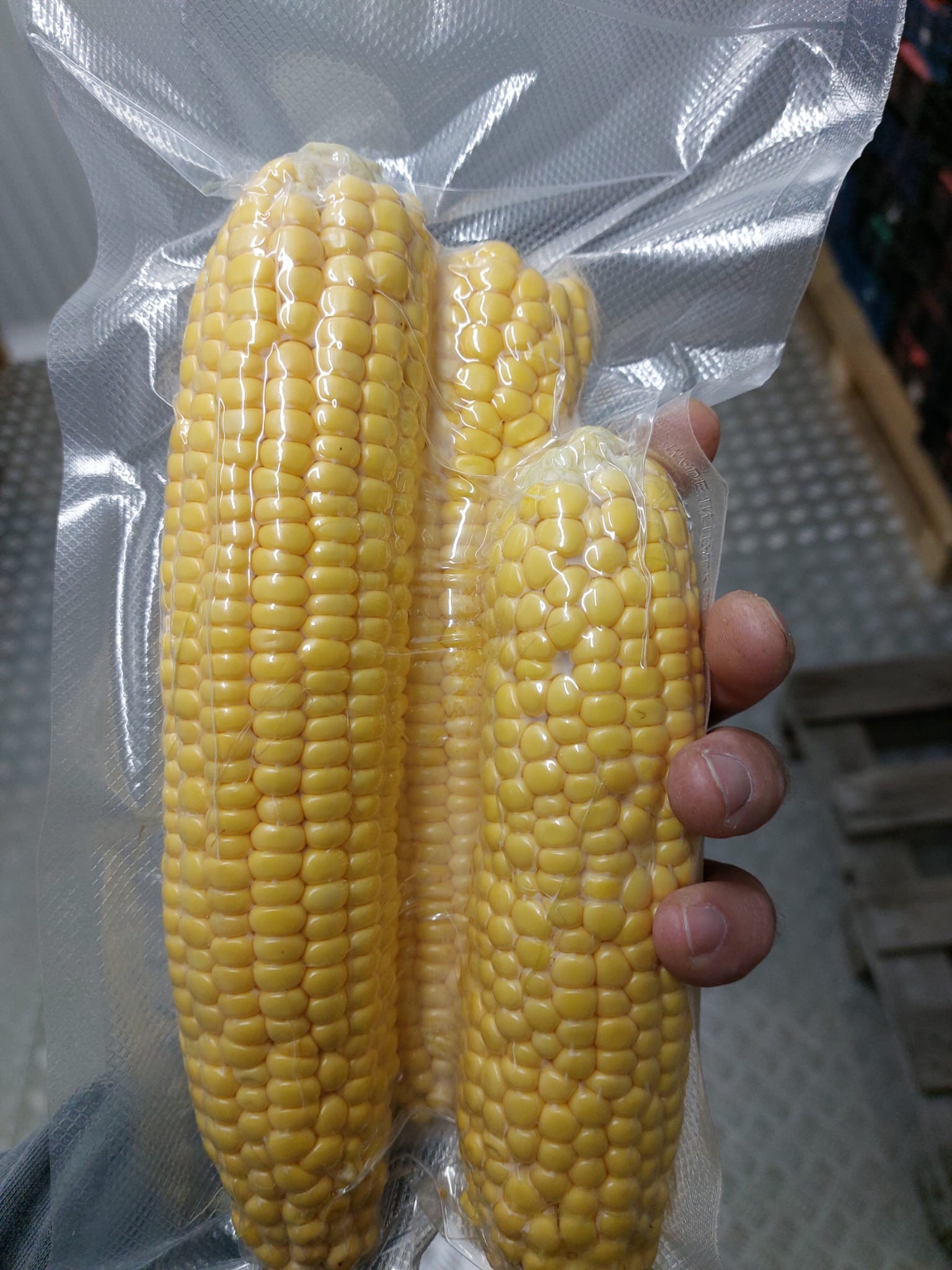 EKO kukuruz šećerac kuhan na pari 400g