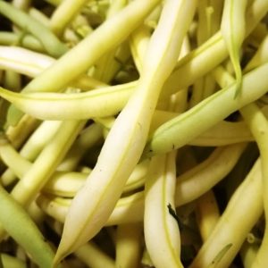 Domaće mahune olovčice 500g - biodinamički uzgoj