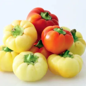 Domaća paprika paradajzica 500g - organski uzgoj