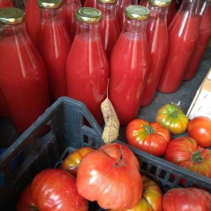 EKO pasirana rajčica 1L – OPG Novak