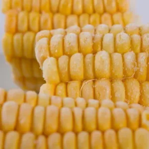 Domaći smrznuti kukuruz šećerac - pakiranje od 5kom