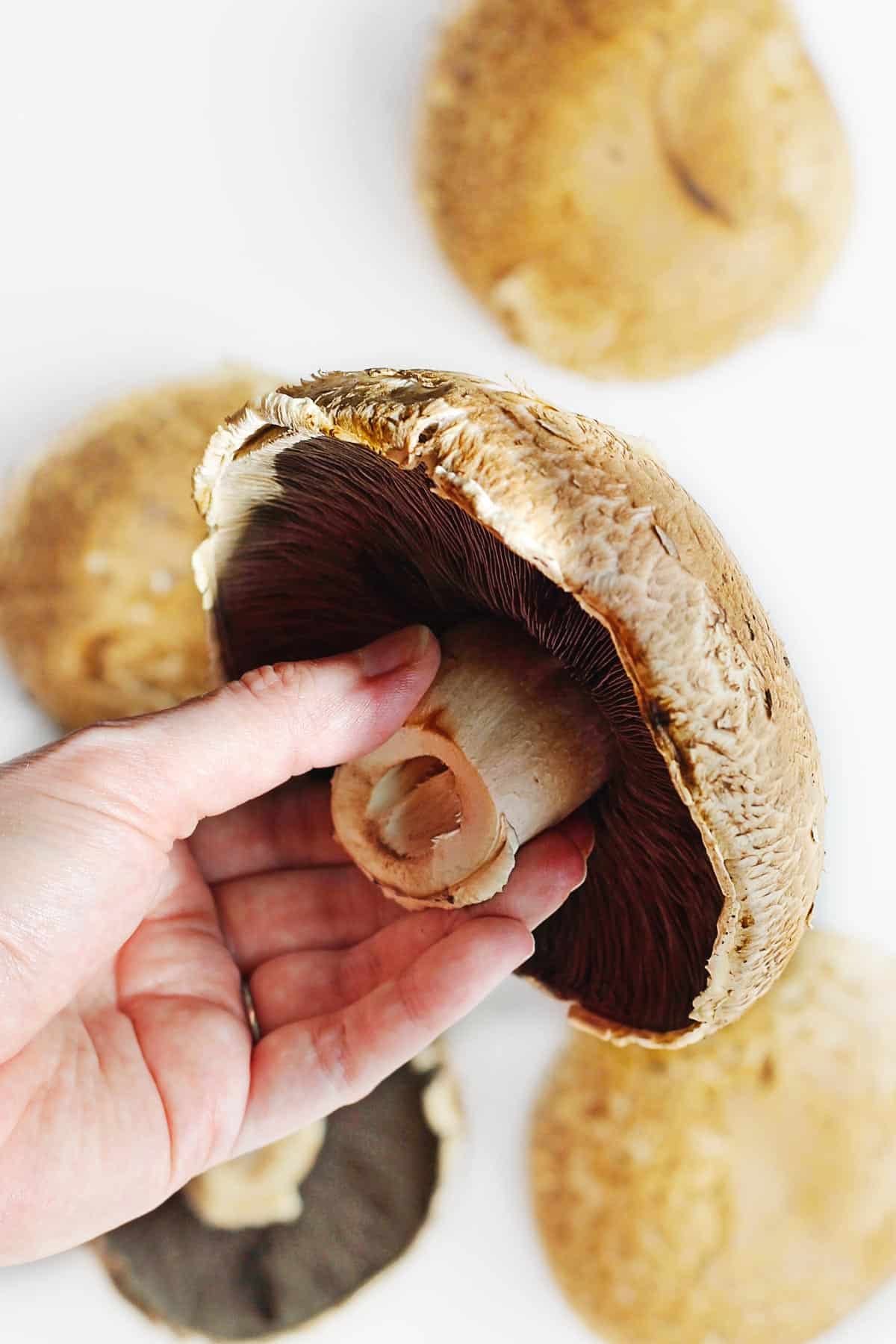 Gljive domaći šampinjoni portabella 300g Gljive domaći šampinjoni portabella 300g