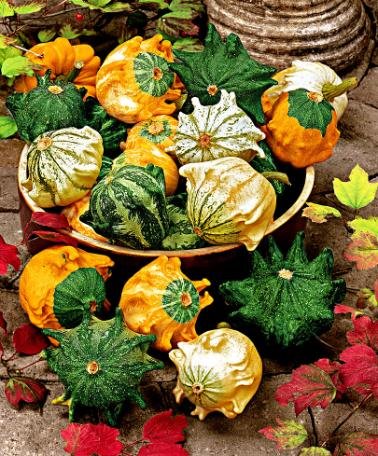 Domaće ukrasne tikvice 500g