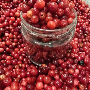 U ponudi brzo smrznuta šumska brusnica! Pakirana po 2,5 kg - 37,50 €/kom (15,00 €/kg) Brusnica je jako bogata mineralima, vitaminima A i C, vlaknima te kalijem. Zbog visoke koncentracije vitamina C ima kiselkast okus. Svojim antibiotskim djelovanjem brusnice uništavaju štetne bakterije i gljivice u tijelu, a također spriječavaju pojavu infekcija urinarnog sustava izazvanih bakterijama.