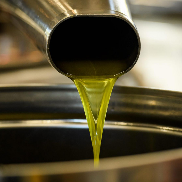 Domaće mlado dalmatinsko maslinovo ulje 1L - OPG Franić Mirela - organski uzgoj