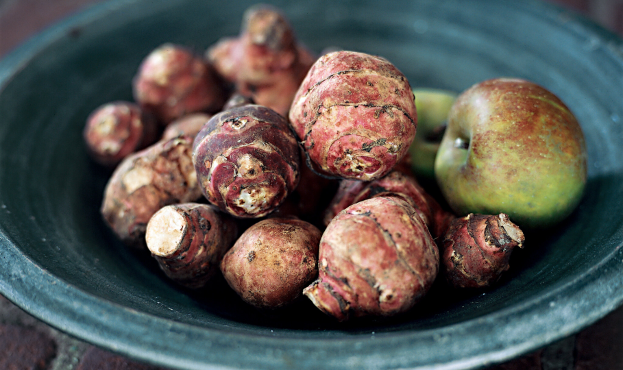 EKO čičoka 1kg - OPG Koščak Ivana
