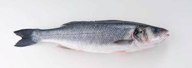 Domaći brancin očišćeni svježi 500g - Orada Adriatic