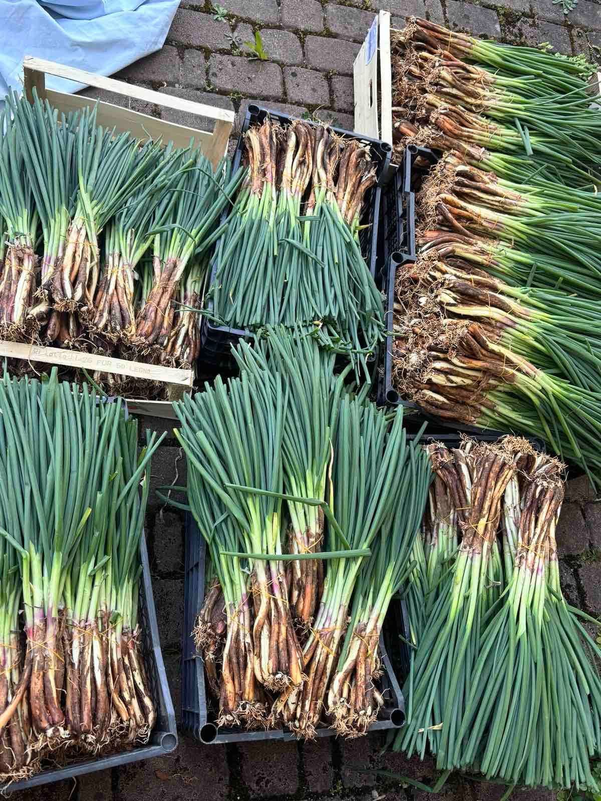 Domaća mlada ljutika 500g organski uzgoj